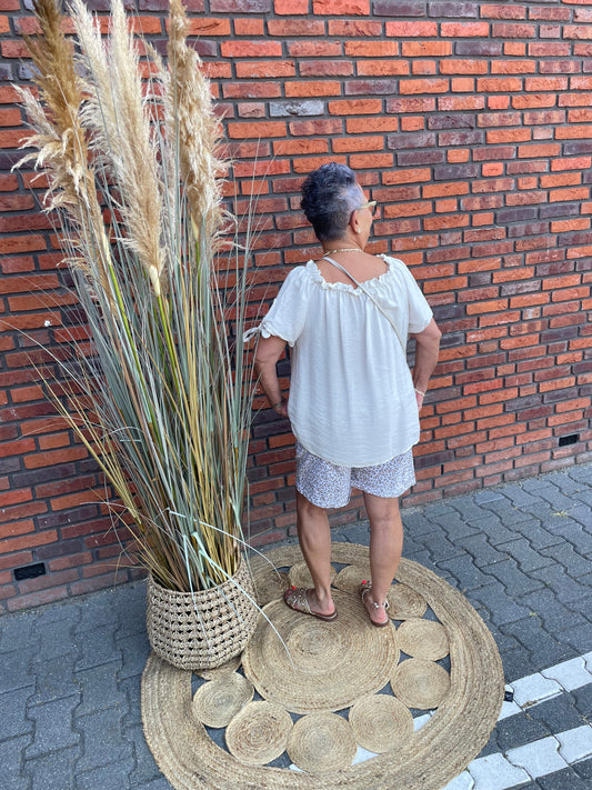 Top Veerle korte mouw beige