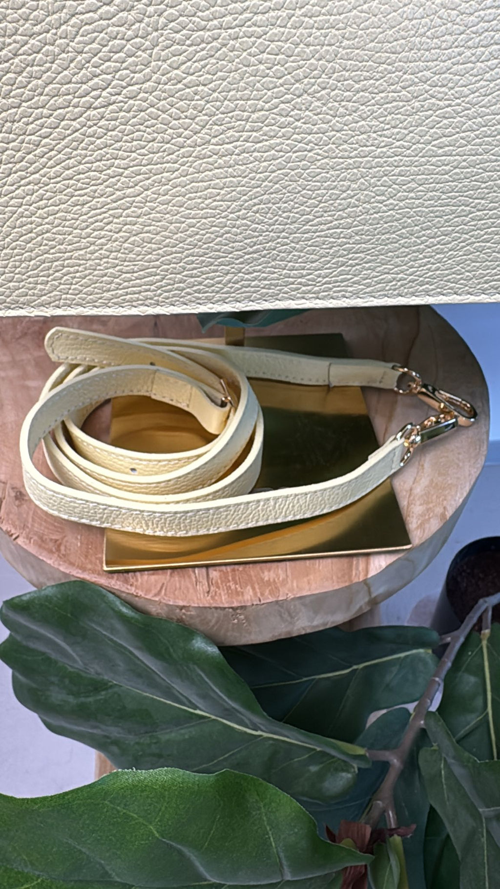 Tas Lynn