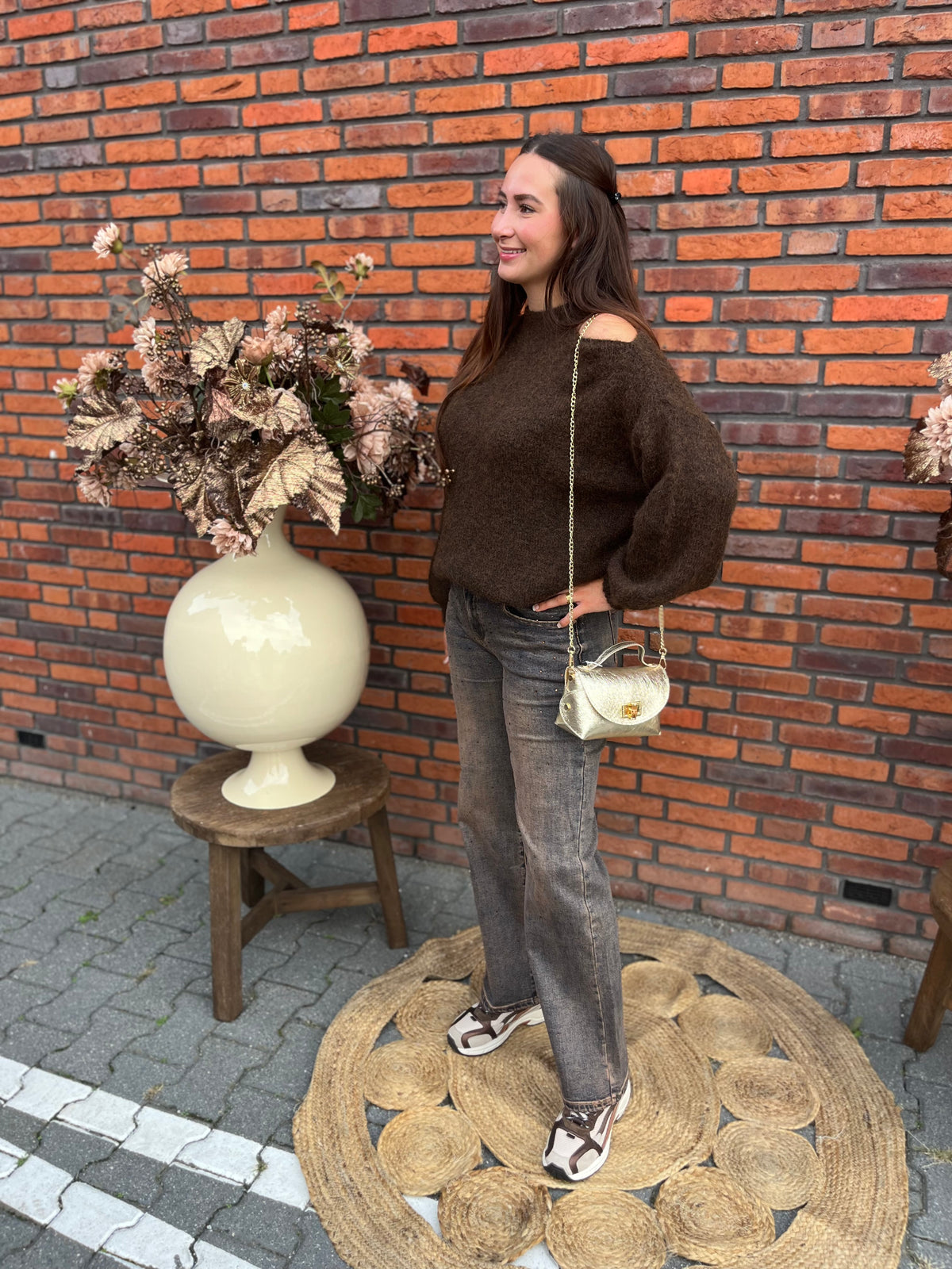 Trui blaire bruin