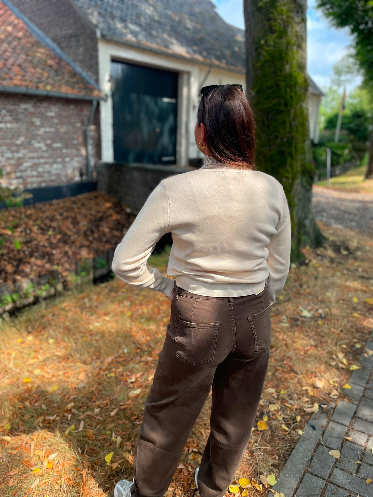 Trui Jet beige