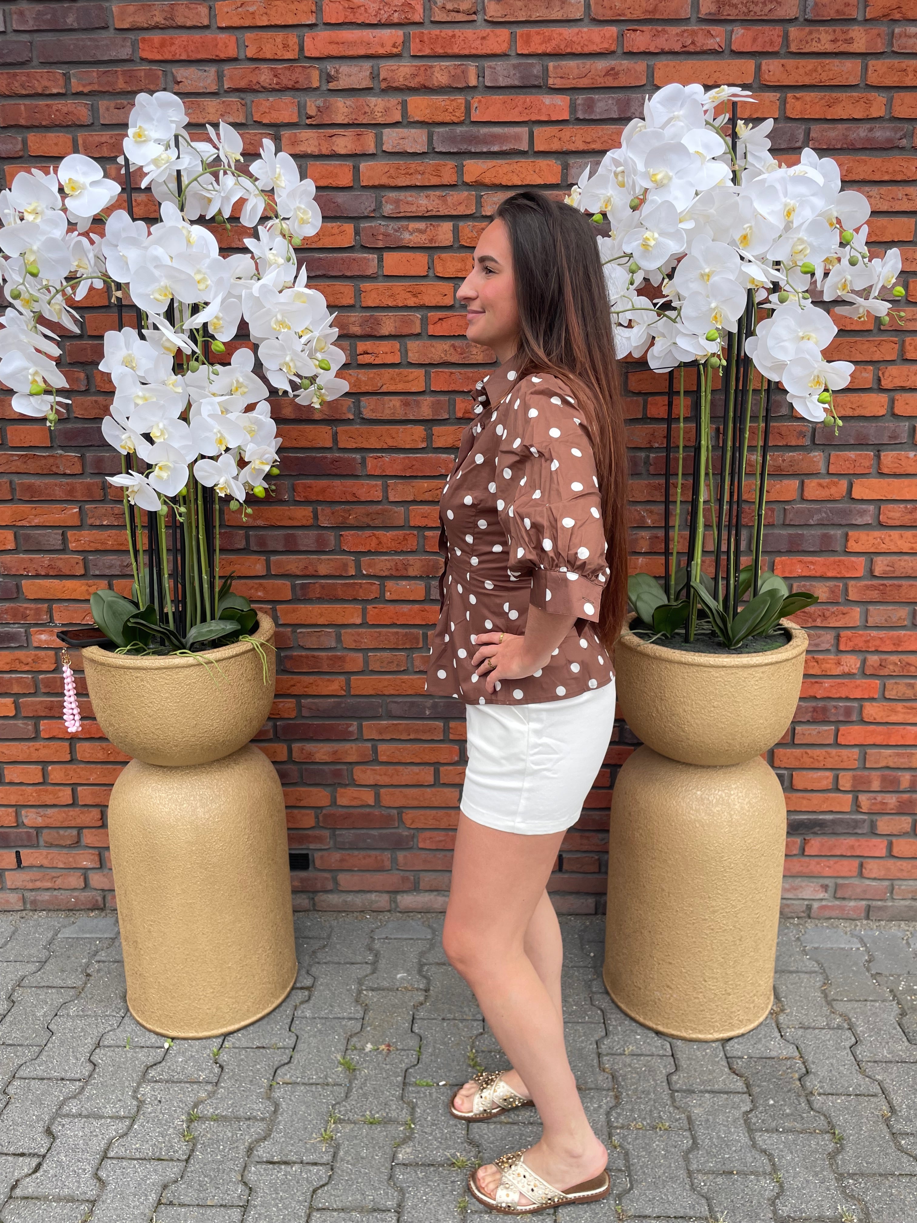 Blouse Erin Stip