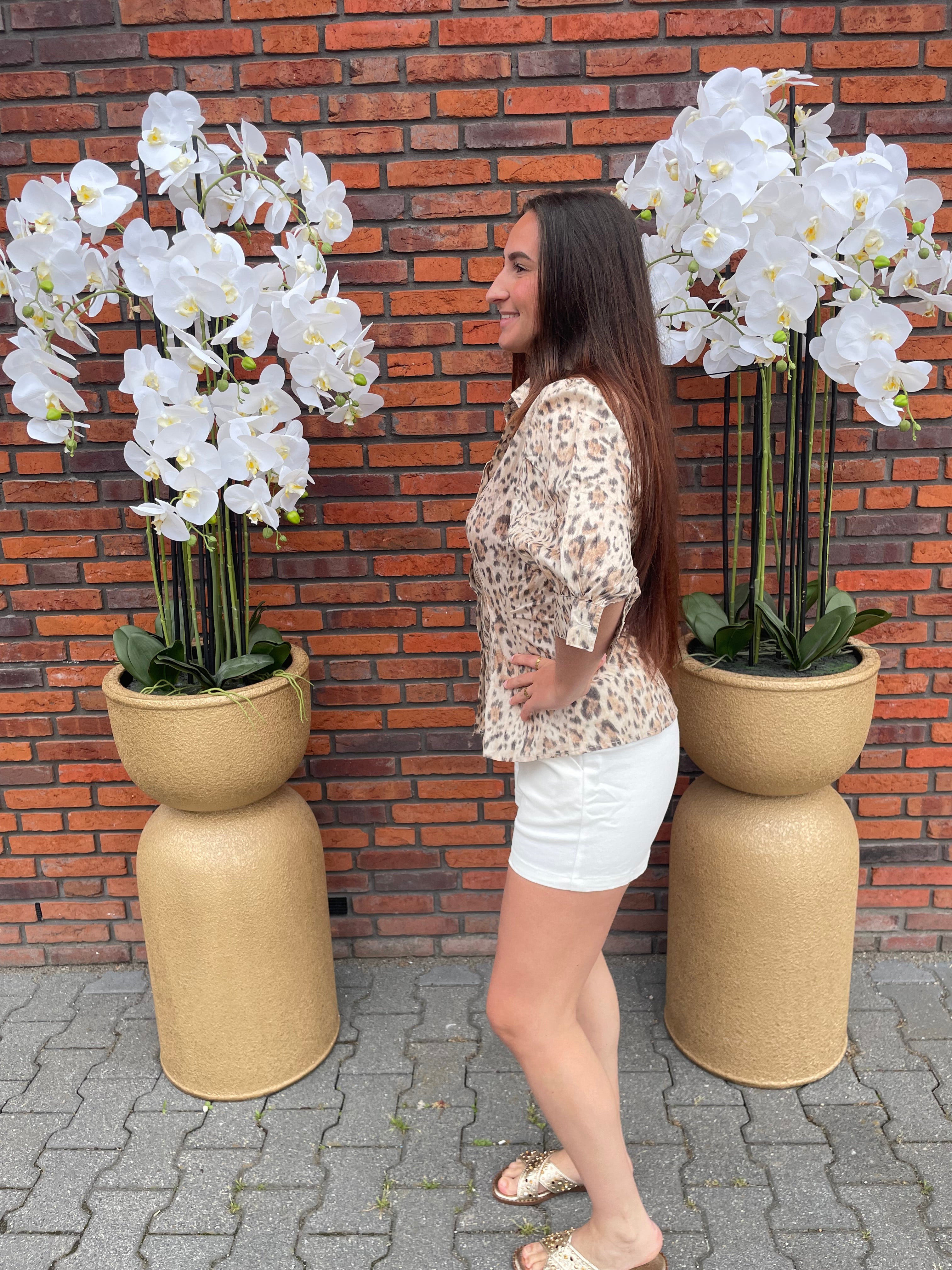 Blouse Erin Tijger