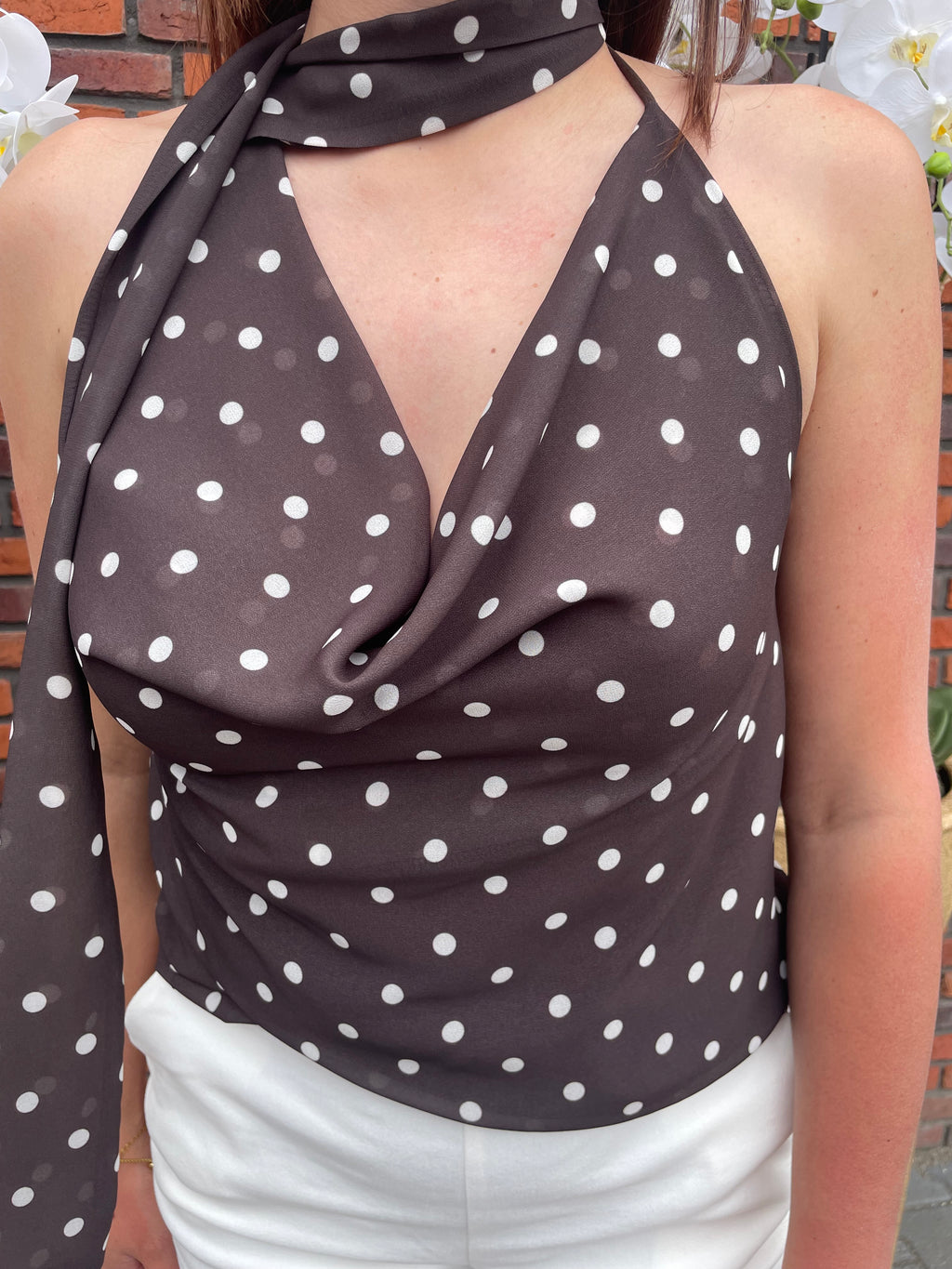 Top Fancy