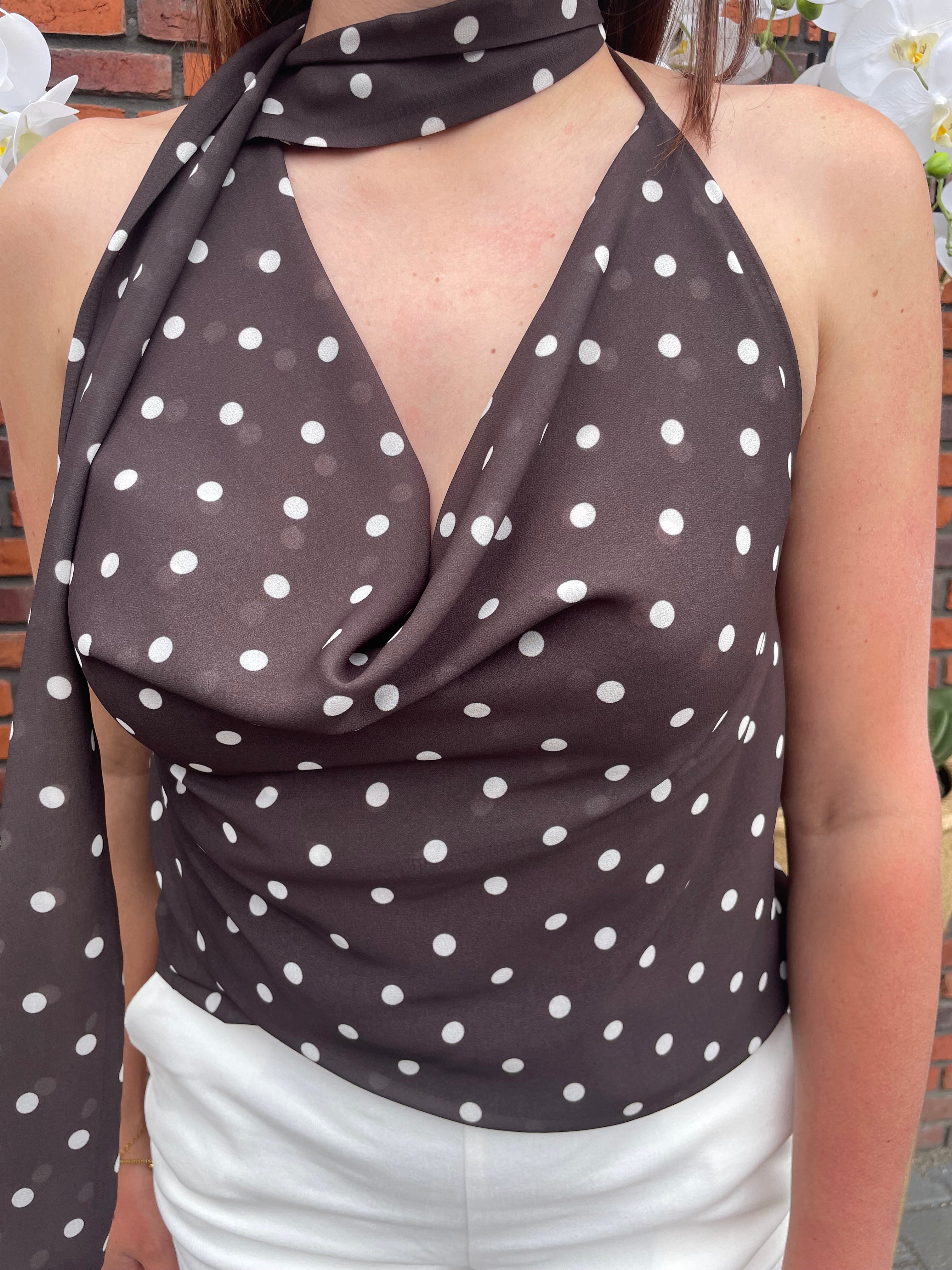 Top Fancy