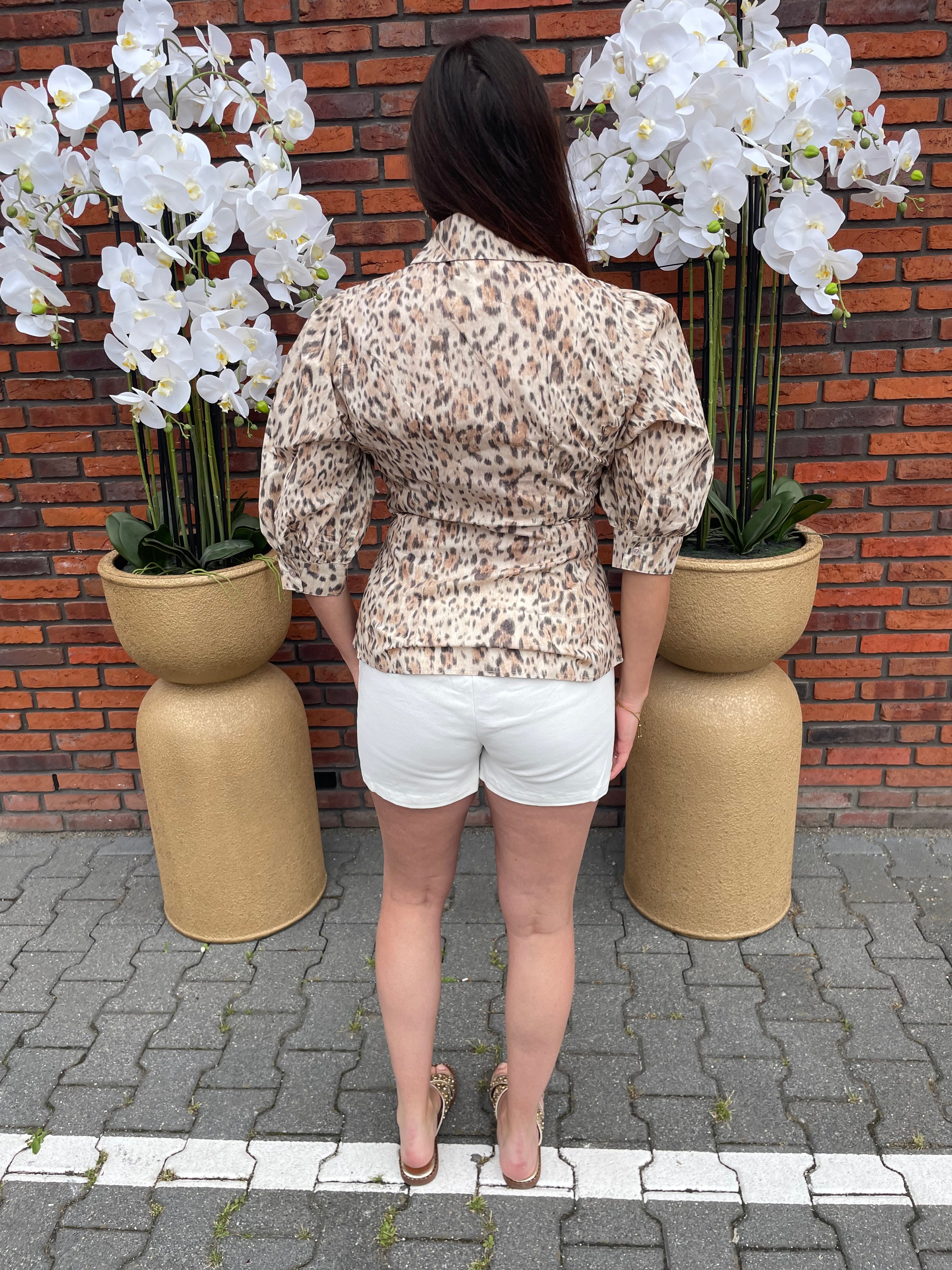 Korte Broek Arzu