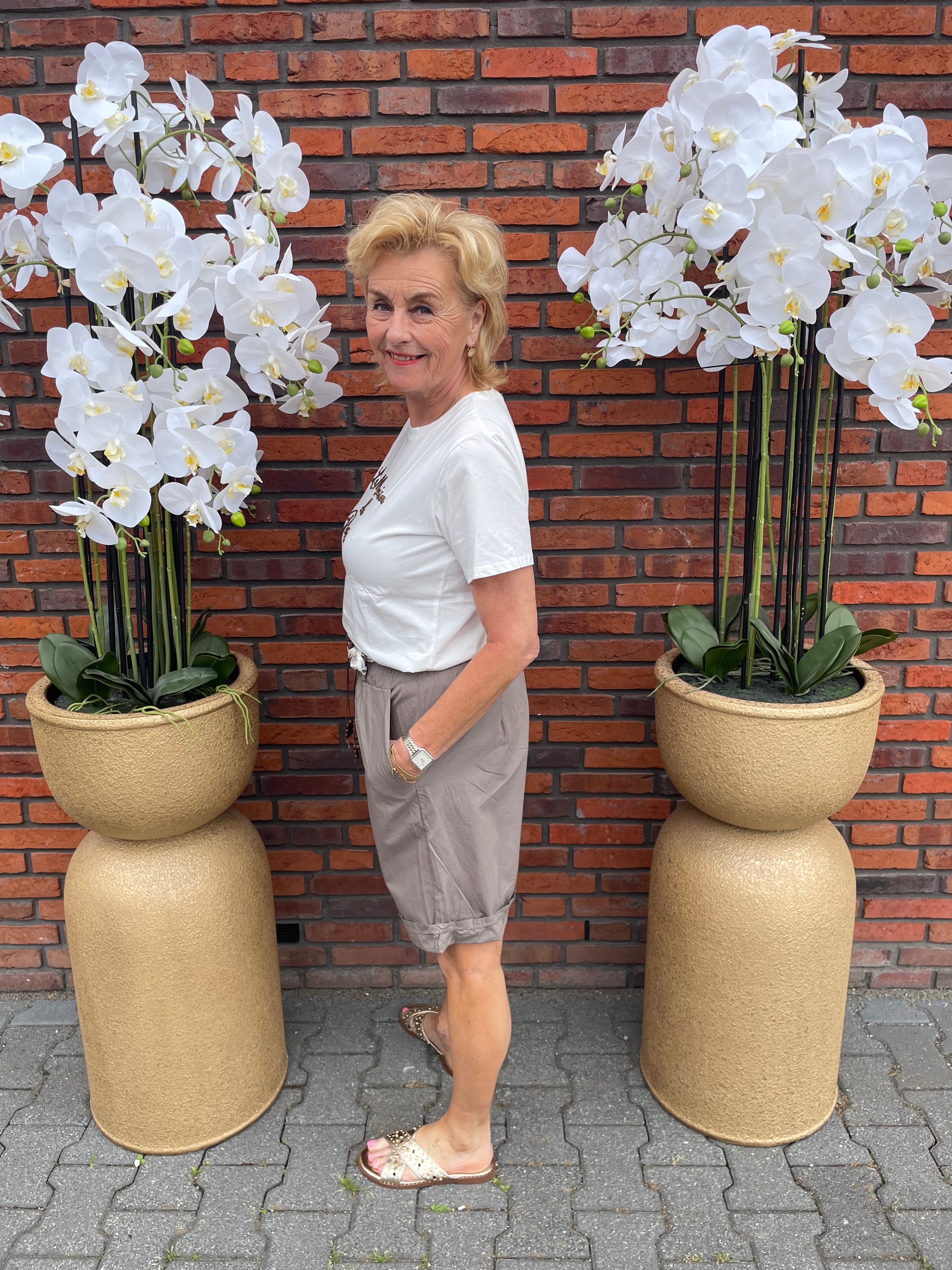 Korte Broek Gael