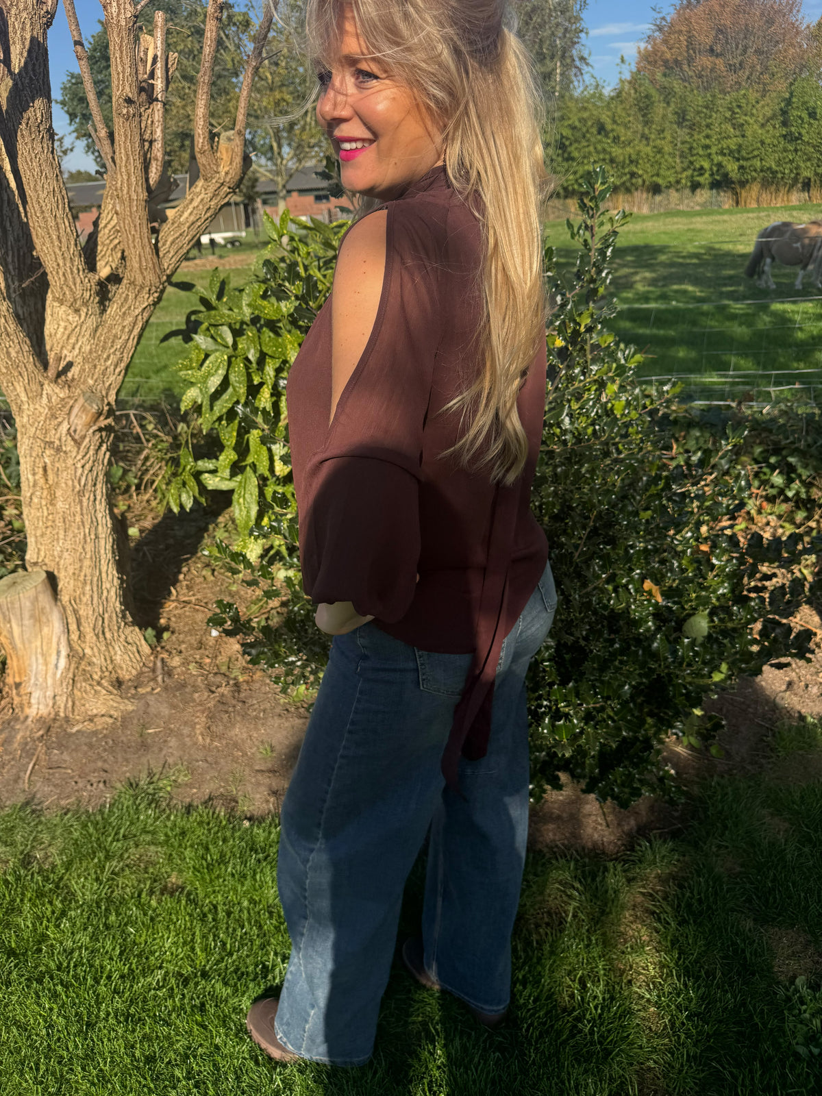 Blouse Louise bruin