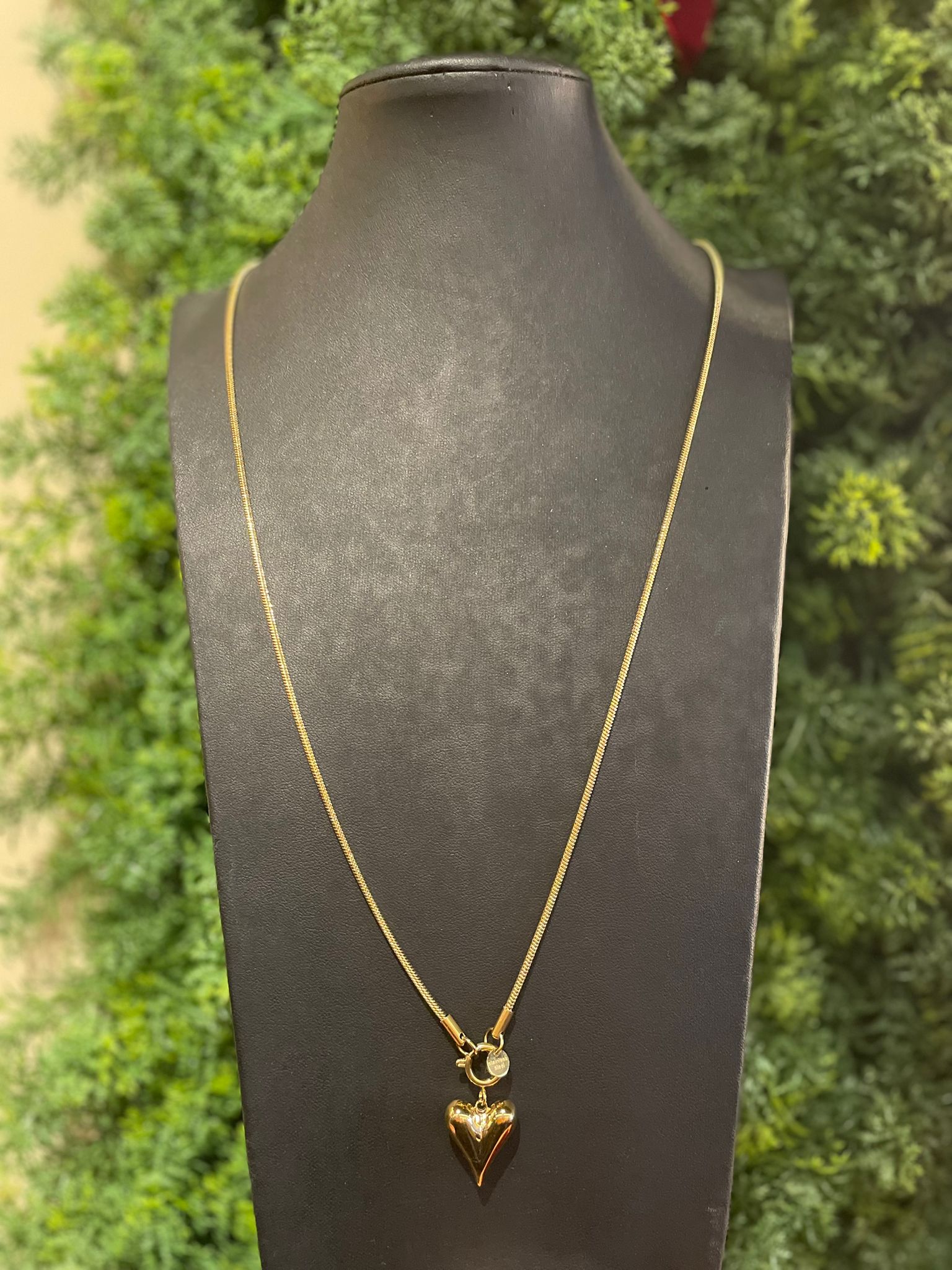 Day&eve lange ketting hartje